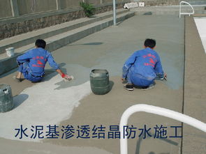 供应水泥基面渗透结晶防水材料地下室 桩头 防水